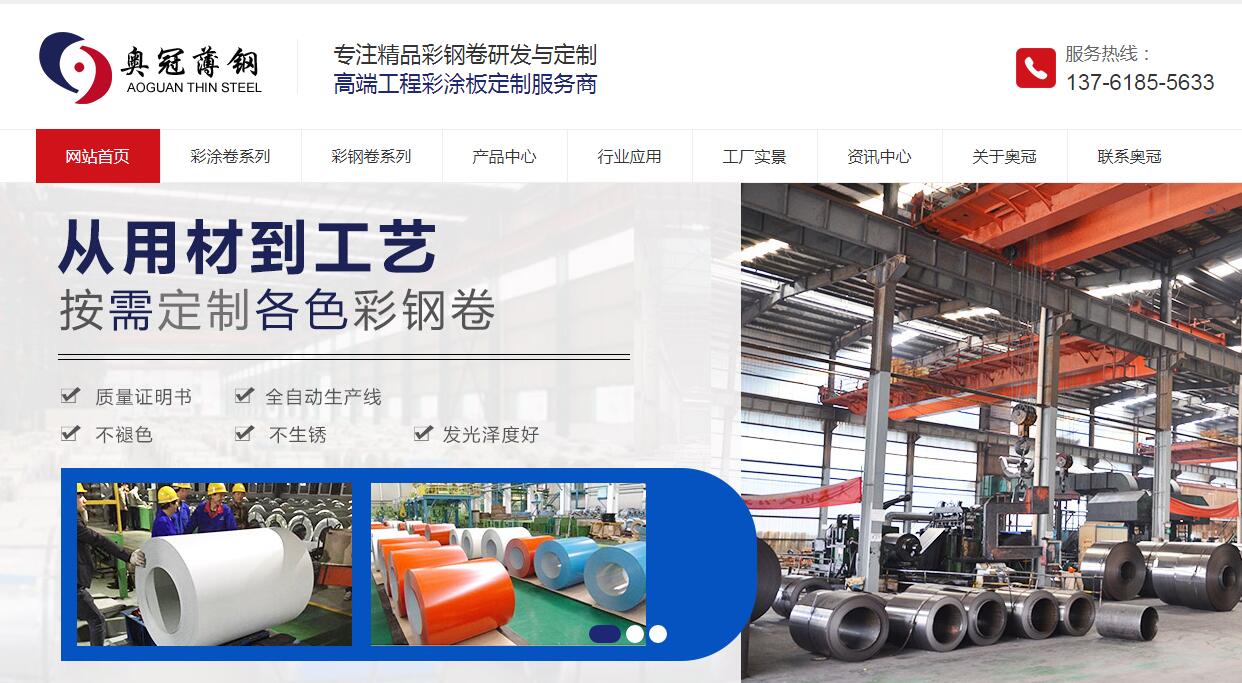浙江奧冠薄鋼科技有限公司營銷型網站開發建設 網站定制制作案例