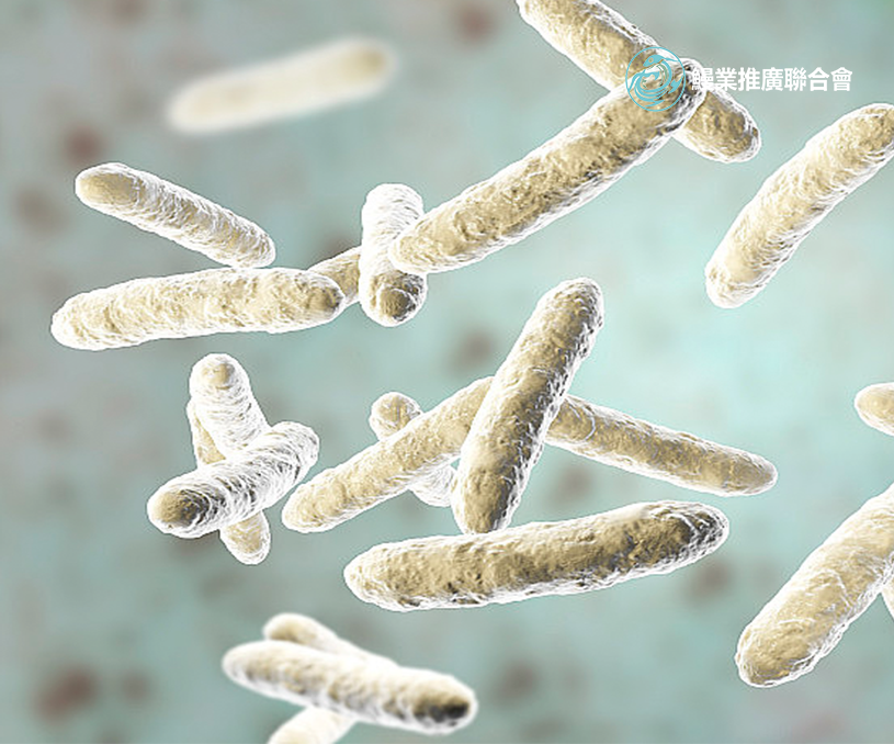 全球鰻業(yè)推廣聯(lián)合會香港企業(yè)官網(wǎng)開發(fā) 網(wǎng)站建設(shè) 網(wǎng)站制作案例