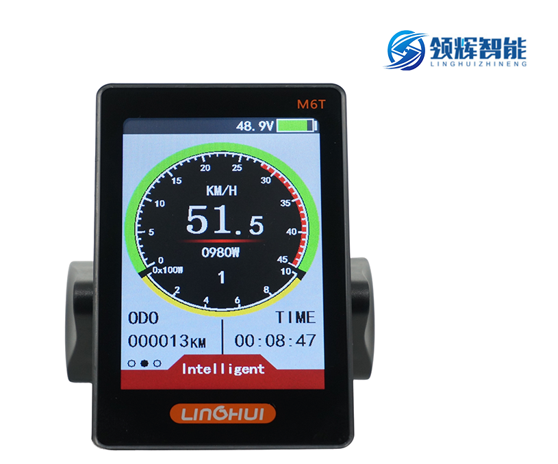 常州領輝智能科技有限公司鋰電動車顯示儀表外貿網站建設制作案例