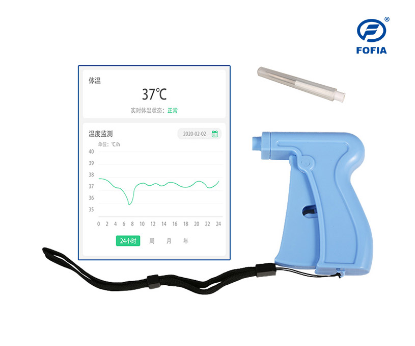 澳大利亞富華英文網站制作 網站開發 網站建設 案例