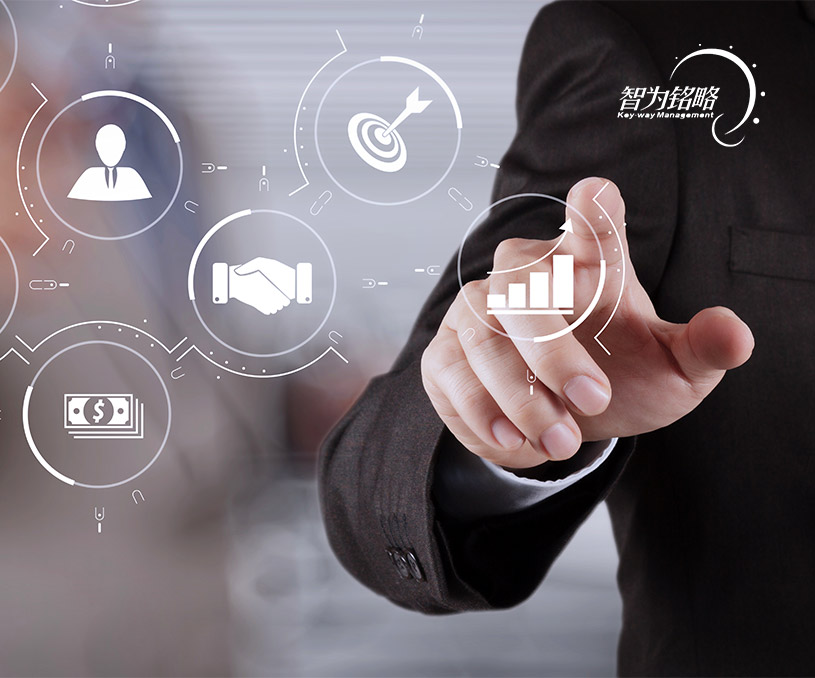 蘇州智為銘略企業管理有限公司項目申報營銷型網站制作 網站建設 網站開發案例