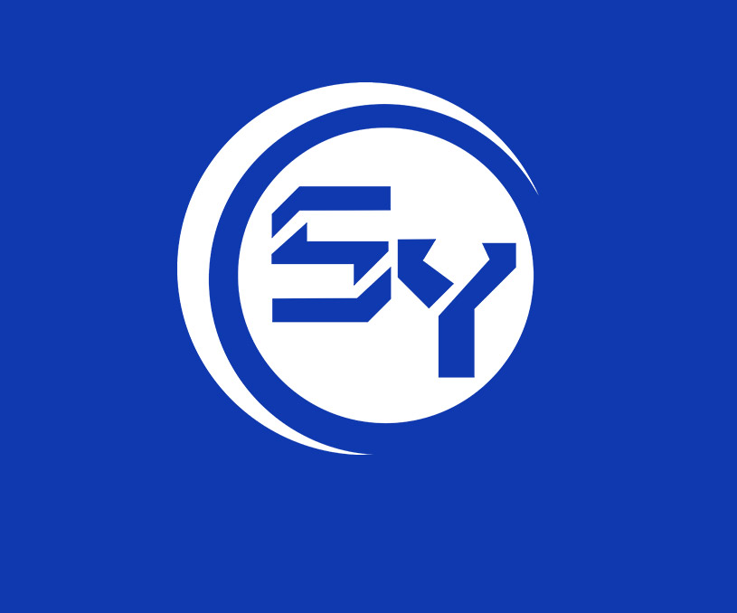 常州盛譽動力科技有限公司營銷型網站建設 網站制作開發案例