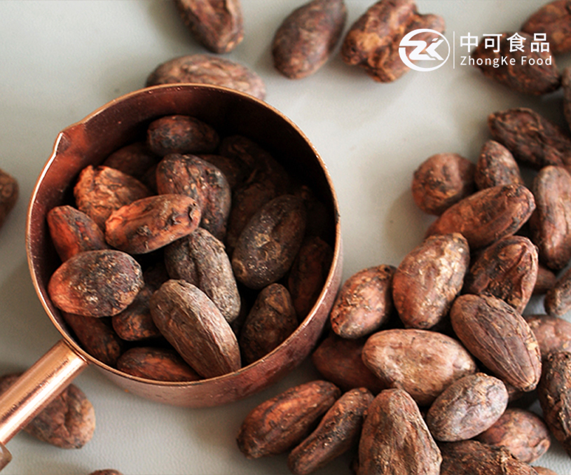 丹陽市中可食品有限公司可可粉產(chǎn)品阿拉伯語外貿(mào)網(wǎng)站建設(shè)制作案例